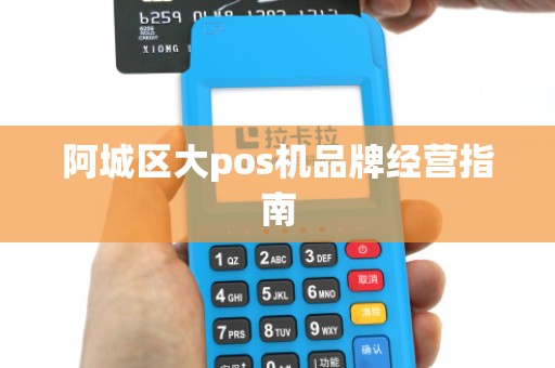 阿城区大pos机品牌经营指南
