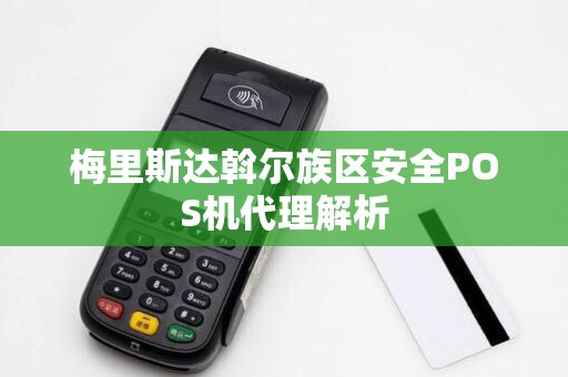 梅里斯达斡尔族区安全POS机代理解析