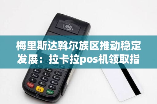 梅里斯达斡尔族区推动稳定发展：拉卡拉pos机领取指南