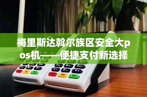 梅里斯达斡尔族区安全大pos机——便捷支付新选择