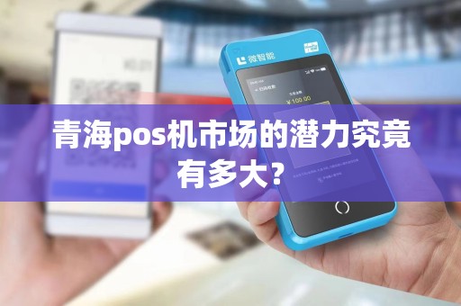 青海pos机市场的潜力究竟有多大?