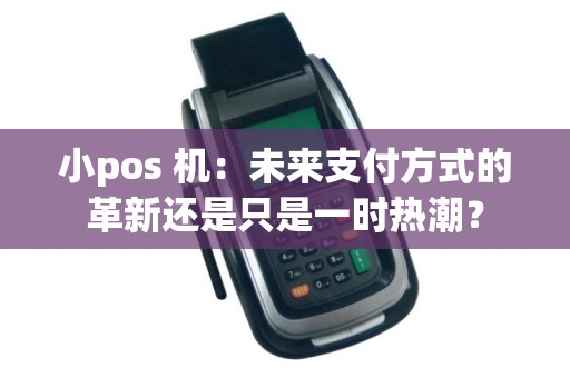 小pos 机:未来支付方式的革新还是只是一时热潮?