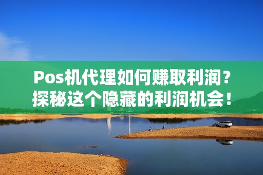 Pos机代理如何赚取利润?探秘这个隐藏的利润机会!